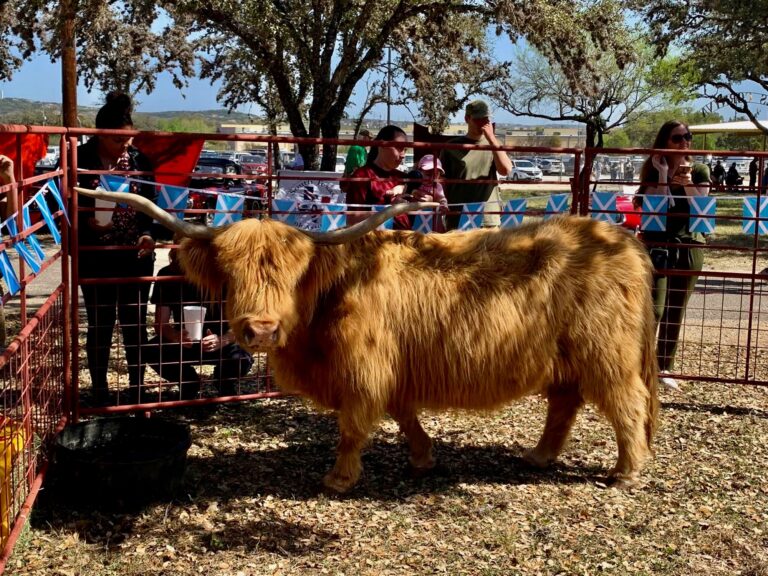 coo(1)