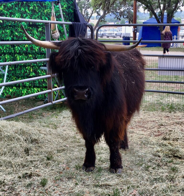 coo2